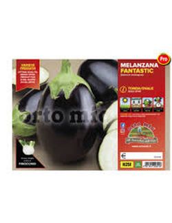 Berenjena Ovalada Negra 6 Plantas en Pack