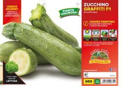 Calabacin Verde Claro Graffiti 4 Plantas En Pack