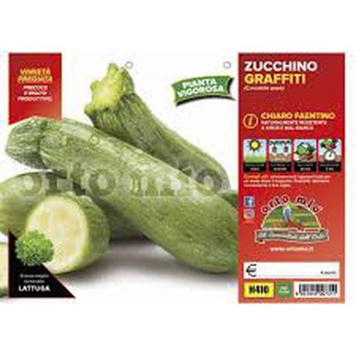 Calabacin Verde Claro Graffiti 4 Plantas En Pack
