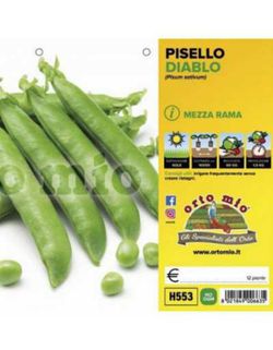 Guisante Media Rama Dorian 12 Plantas en Pack