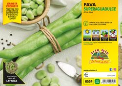 Haba Superaguadulce Aguadulce Supersimonia 12 Plantas en Pack