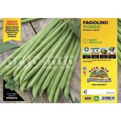 Plantio Judia Enana Pongo 12 Plantas En Pack