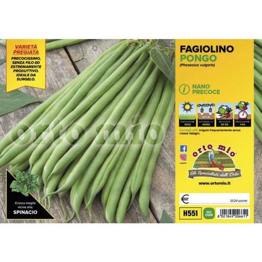 Plantio Judia Enana Pongo 12 Plantas En Pack