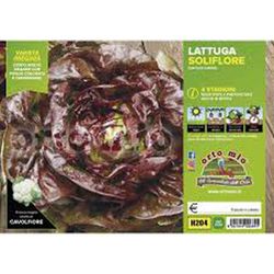 Lechuga 4 Estaciones Saliflore 9 Plantas en Pack