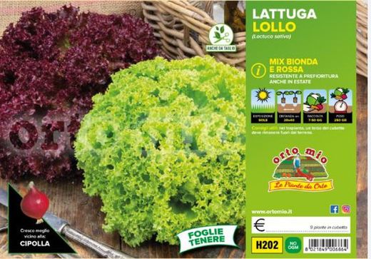 Lechuga Lollo Mix 9 Plantas en Pack