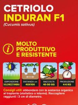 Pepino Indurain 4 Plantas En Pack