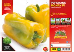 Pimiento Cuadrado Mohai 6 Plantas en Pack