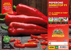 Pimiento Cuerno Rojo 6 Plantas En Pack