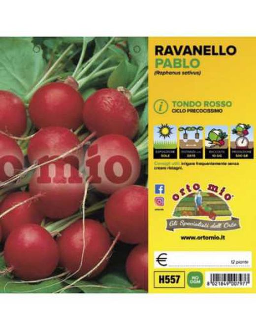 Rabano Redondo Rojo 12 Plantas En Pack