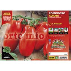 Tomate Marzano Adamo 6 Plantas En Pack