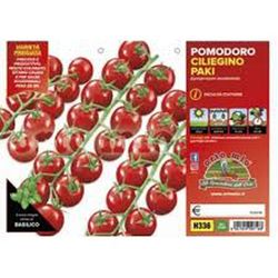 Tomate Paki Cereza 6 Plantas En Pack