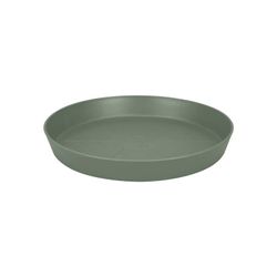 Plato Loft Urban Saucer