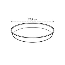 Plato Loft Urban Saucer