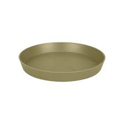 Plato Loft Urban Saucer