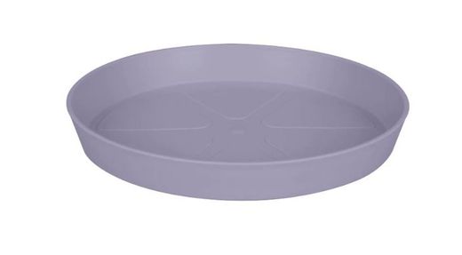 Plato Loft Urban Saucer