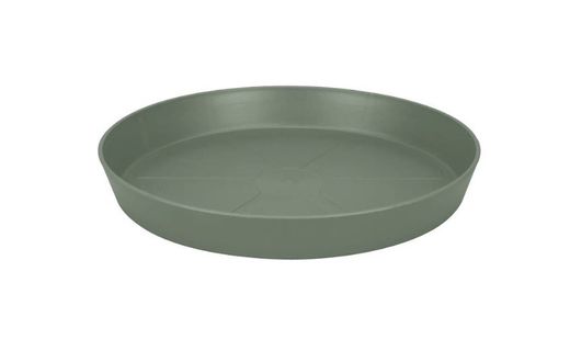 Plato Loft Urban Saucer