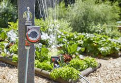 Programador de riego easy Gardena