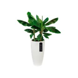 Maceta Pure Soft Round High 40cm Color Blanco