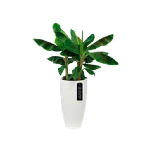 Maceta Pure Soft Round High 40cm Color Blanco