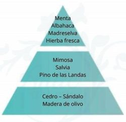 Recarga Lámpara Berger Eau Des Menthes 500mL