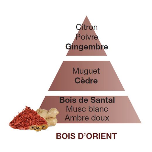 Recarga lámpara Berger bois sauvage 500ml
