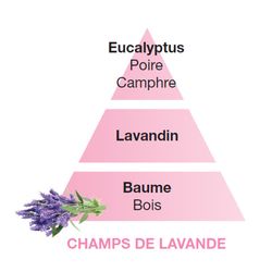 Recarga lámpara Berger champs de lavande 500ml