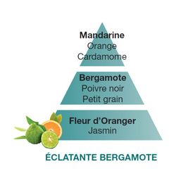 Recarga lámpara Berger con olor a bergamota 1l