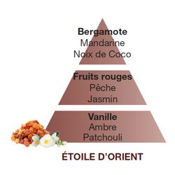 Recarga lámpara Berger etoile d'orient 500ml