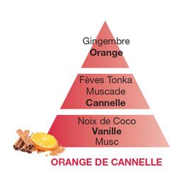 Recarga lámpara Berger orange cannelle 500ml