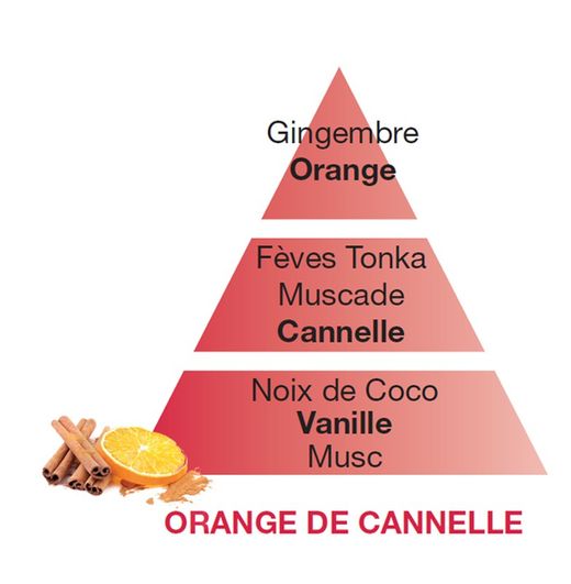 Recarga lámpara Berger orange cannelle 500ml
