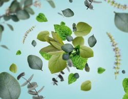 Recarga lámpara Berger seve eternelle 500ml