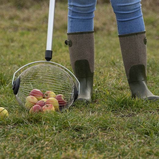 Recolector de Frutas