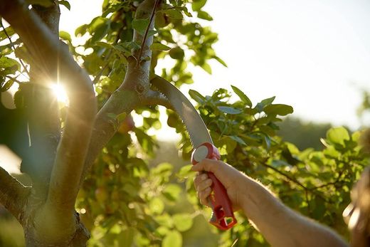 Serrucho de poda + mango Outils Wolf OZM3