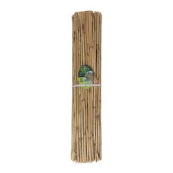Cañizo natural Splitcane de 1x5m Nortene