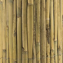 Cañizo natural Splitcane de 1x5m Nortene