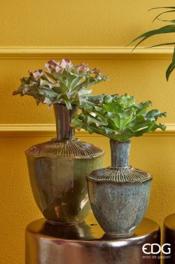 Succulente West Ramo