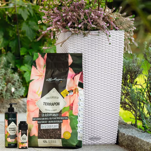 Sustrato para plantas Terrapon