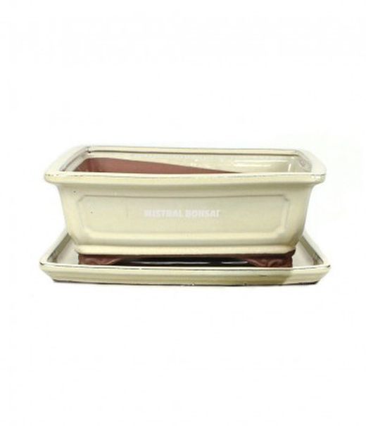 Tiesto oval Basic Class de 15cm