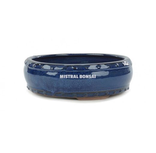 Tiesto oval Basic Class de 15cm