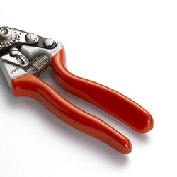 Tijera de corte by-pass en 3 posiciones  Outils Wolf  OGAN