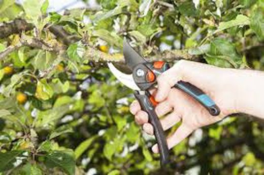 Tijeras de jardín b/s-xl Gardena