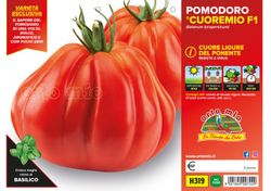 Tomate de Ligure 6 Plantas en Pack