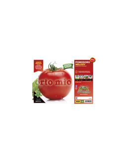 Tomate Melody F1 Redondo De Mesa 6 Plantas en Pack