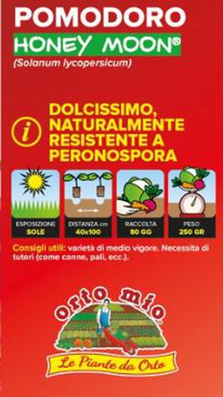 Tomate Redondo Resistente Honey Moon