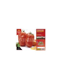 Tomate Scatalone San Marzano 6 Plantas en Pack