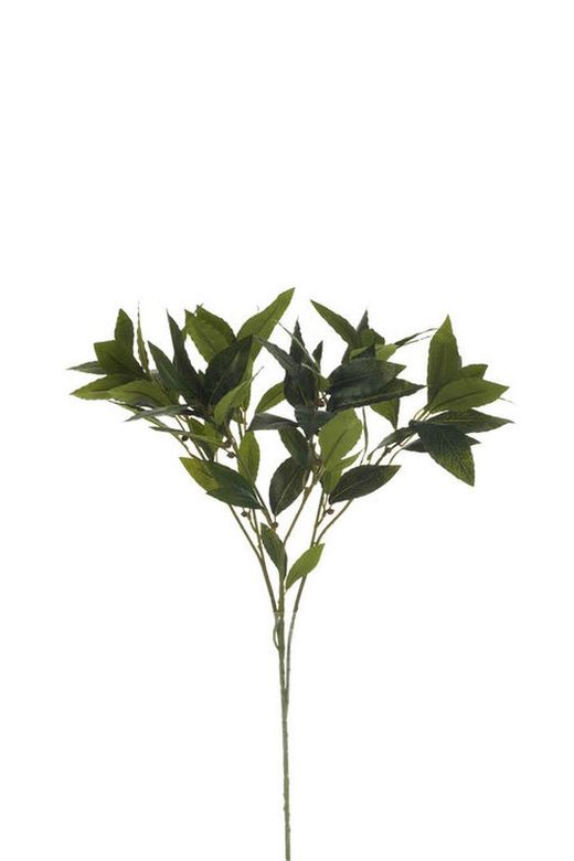 Topiari Bola Laurel 50cm Verde