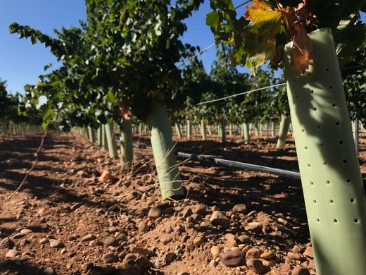 Tubo Protector de Arboles 40 cm