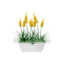 Jardinera Vibia campana terrace trough 80cm color blanco Elho®