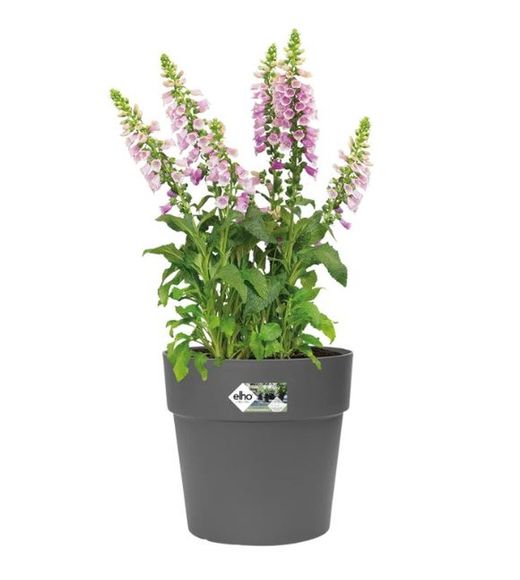 Maceta Vibia Straight Round 30cm Color Antracita