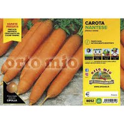 Zanahoria Nantesa Nelson F1 Berlicum 12 Plantas en Pack